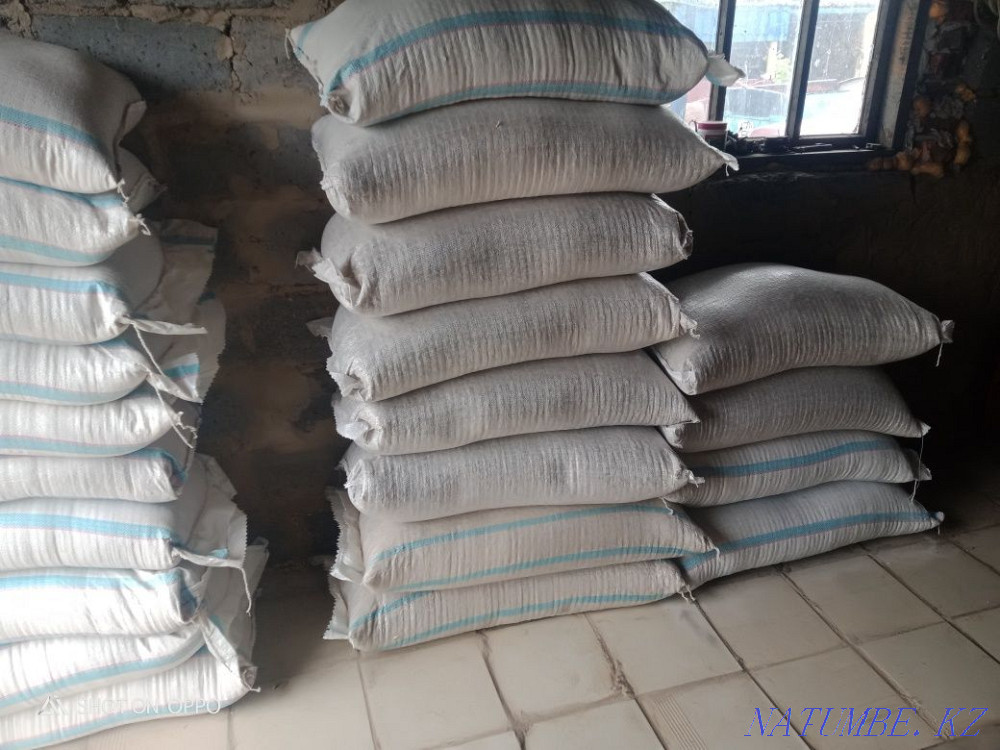 Bran grain waste in bags for rabbits geese cattle Rudnyy - photo 1