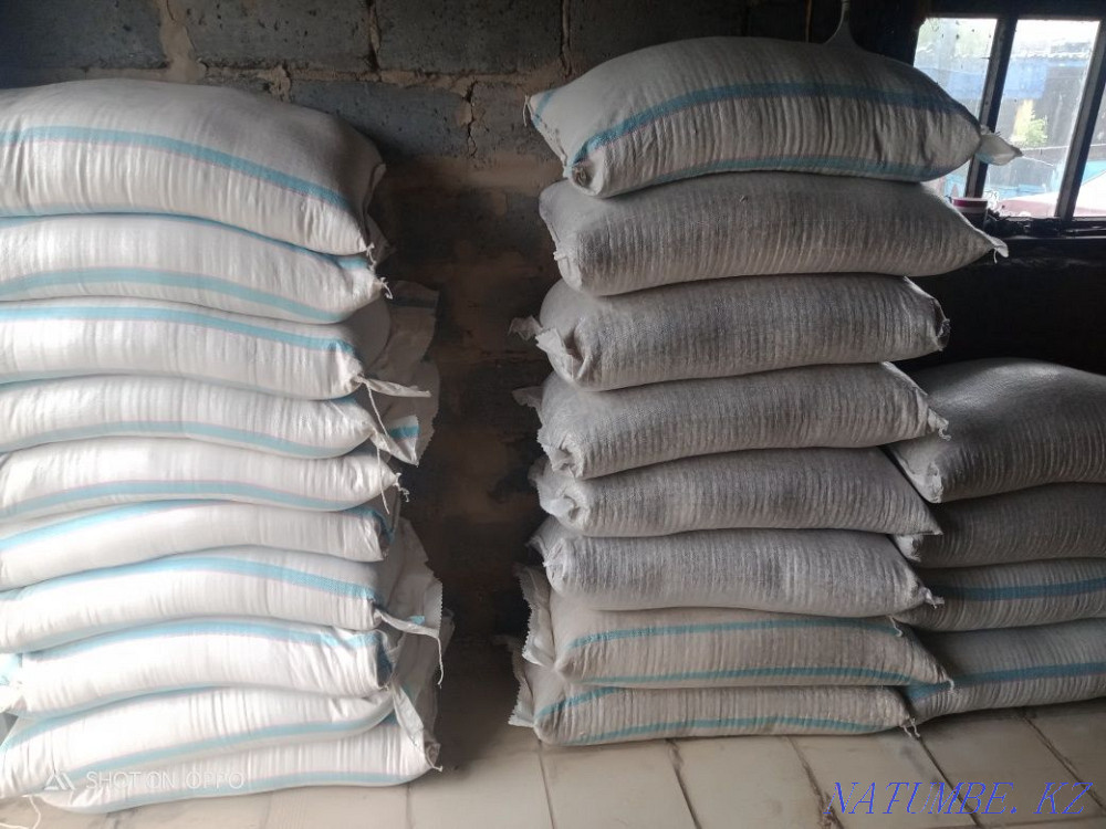 Bran grain waste in bags for rabbits geese cattle Rudnyy - photo 2