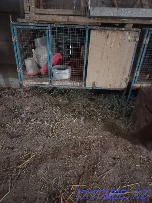 Brooder for rabbits Shymkent - photo 1