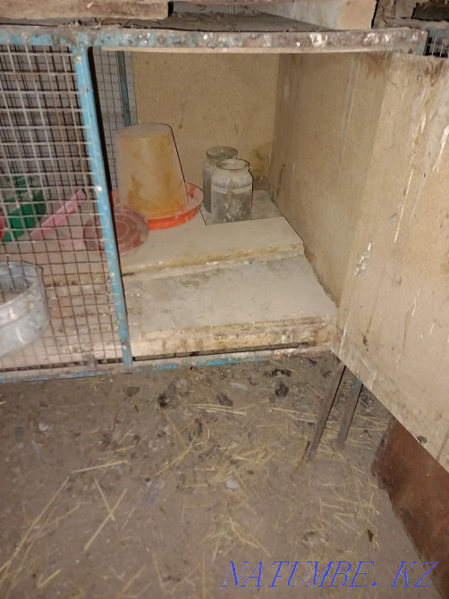 Brooder for rabbits Shymkent - photo 3