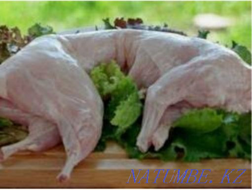 Sell rabbit meat Atyrau - photo 1