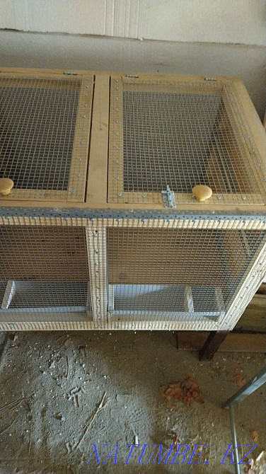 Клетка для кроликов Талас - изображение 3