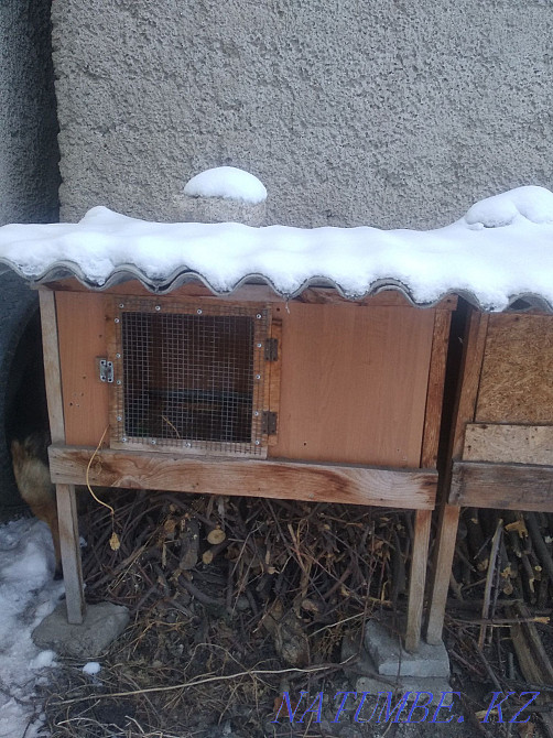 Клетки для кроликов и птицы Каргалы - изображение 1