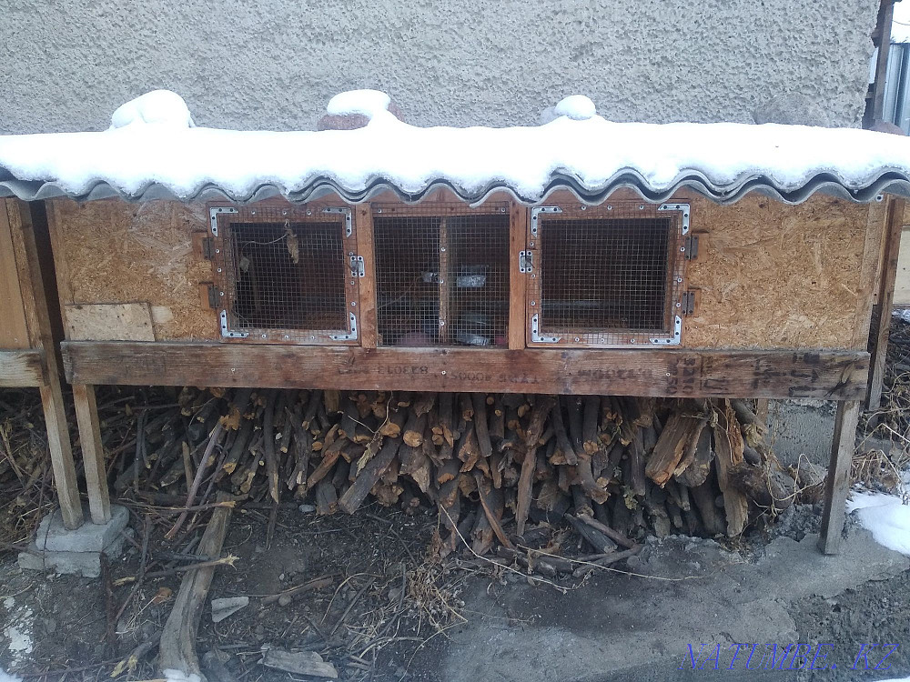 Клетки для кроликов и птицы Каргалы - изображение 2