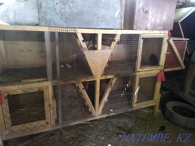 Sell cages for rabbits Мухаметжан Туймебаева - photo 2