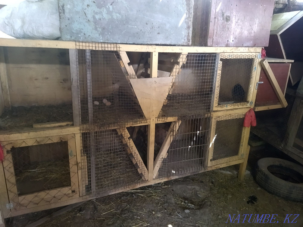 Продам клетки для кроликов Мухаметжан Туймебаева - изображение 2
