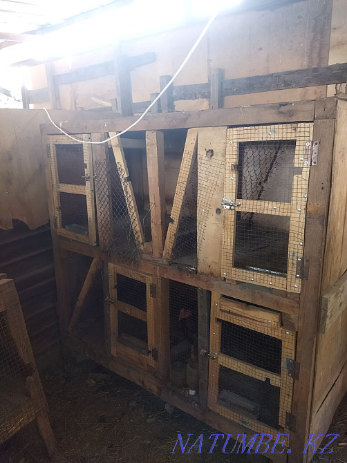 Продам клетки для кроликов Мухаметжан Туймебаева - изображение 1