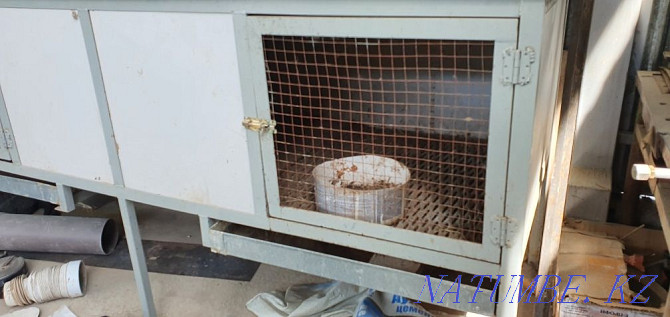 Rabbit house for 10 adult rabbits Байзак - photo 2