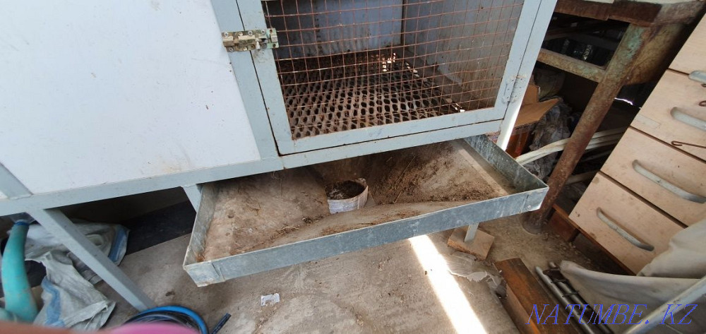Rabbit house for 10 adult rabbits Байзак - photo 4