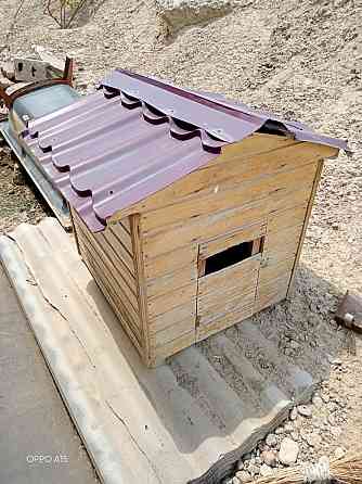 Бутка для собак и дом для кроликов. В хорошем состоянии Shymkent