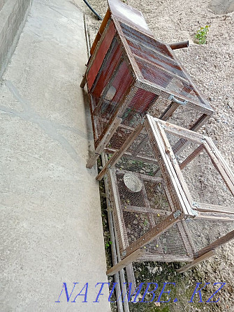 Booth for dogs and a house for rabbits. In a good condition Shymkent - photo 4