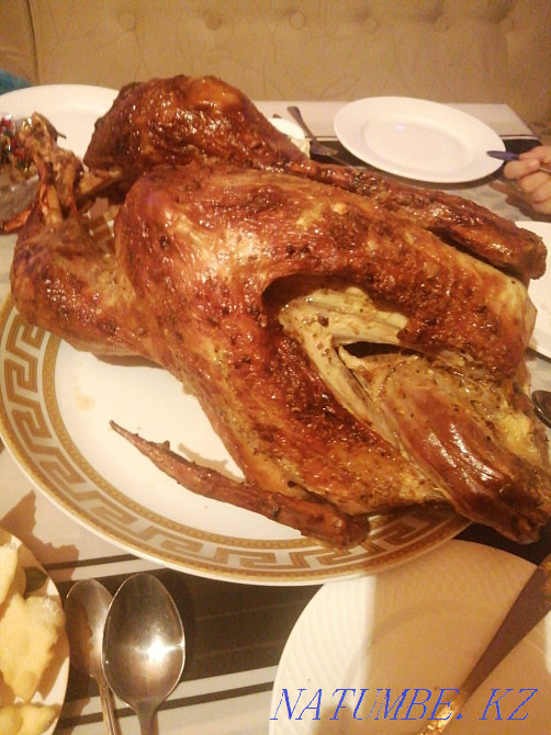 Turkey, turkey, turkey, ?ndik, k?rketauy? Astana - photo 1