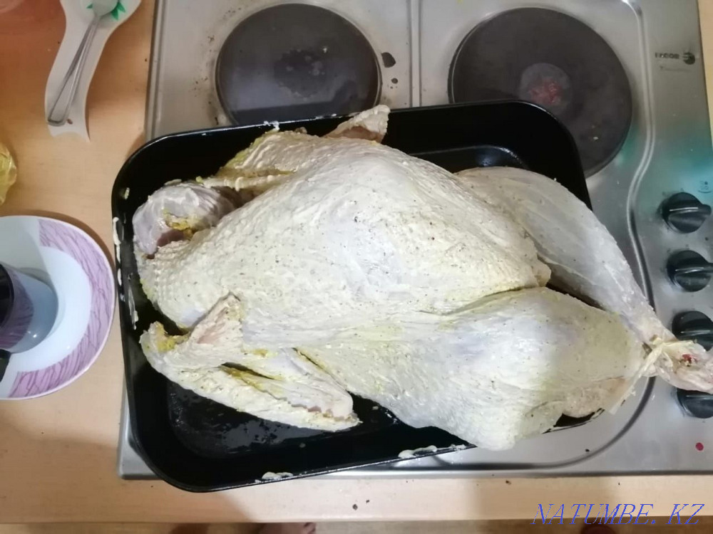 Turkey, turkey, turkey, ?ndik, k?rketauy? Astana - photo 2