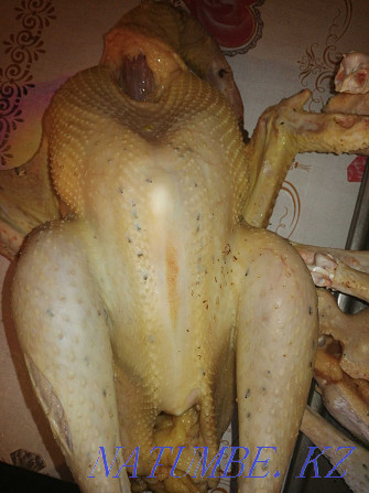 We sell turkey meat.  - photo 3