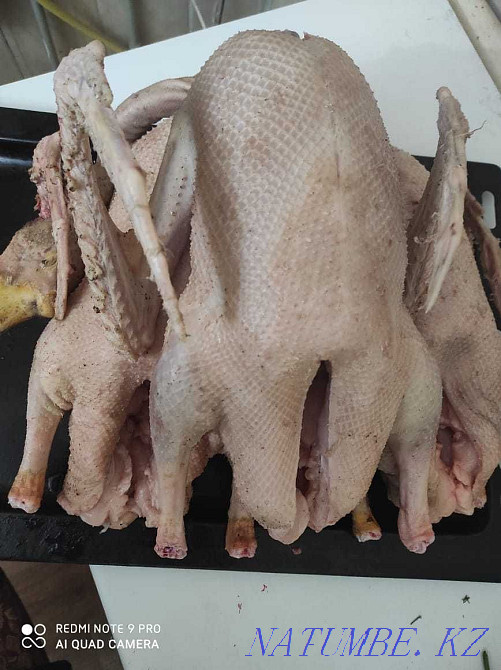 carved geese, turkeys, ducks, chickens, rabbits Taraz - photo 1