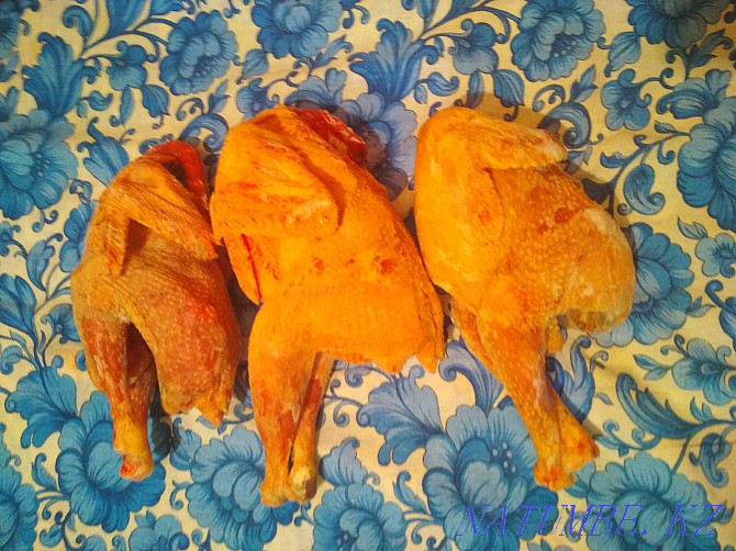 I will sell meat of young turkeys, ducks Oral - photo 4