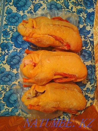 I will sell meat of young turkeys, ducks Oral - photo 3
