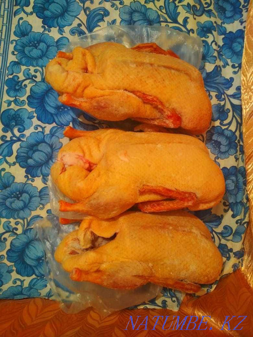 Продам мясо молодых индюков, уток Уральск - изображение 3