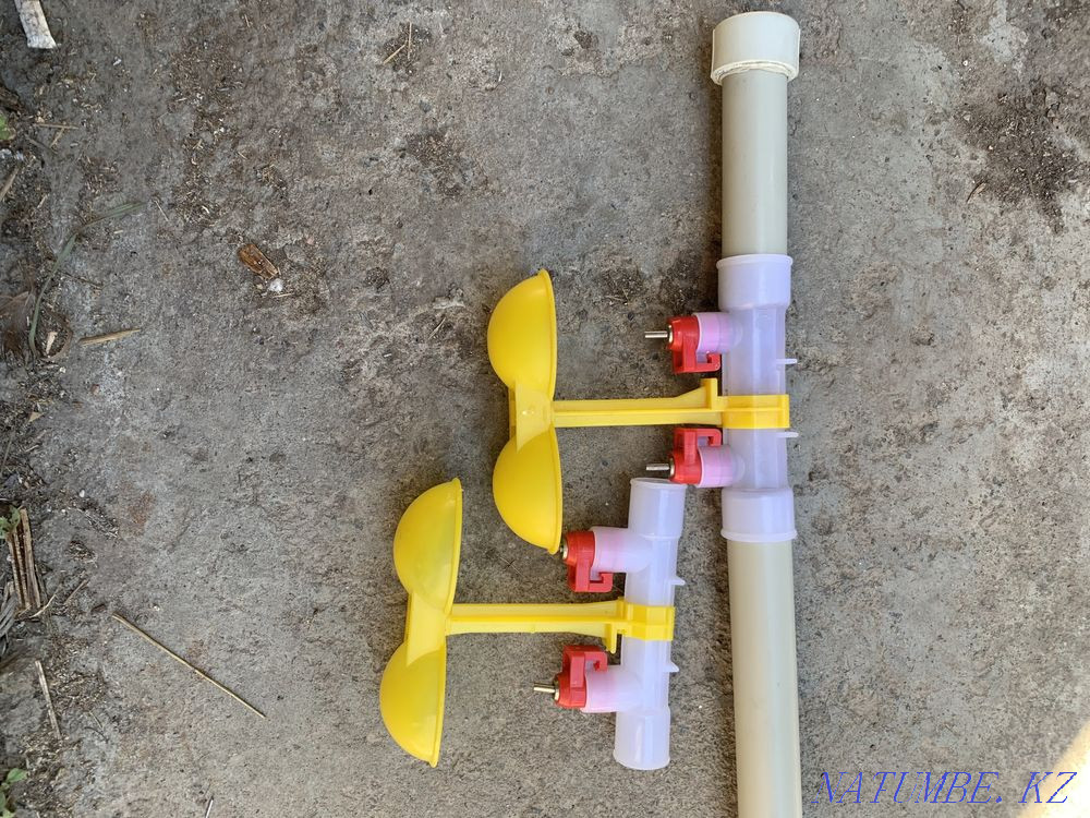 Двойные нипельные поилки для кур , индюков Астана - изображение 1