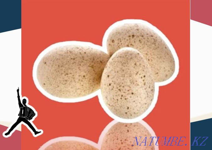 Turkey egg BIG 6 hatching Germany send in bulk from 10 pcs Pavlodar - photo 2