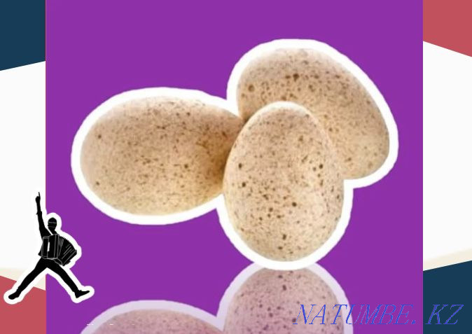 Turkey egg BIG 6 hatching Germany wholesale from 10 pcs Ust-Kamenogorsk - photo 1