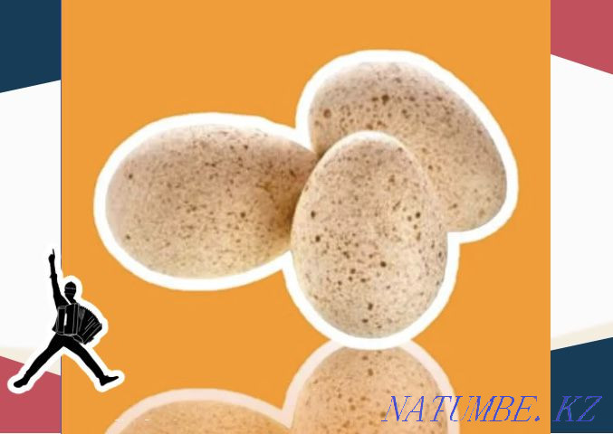 Түркия жұмыртқасы BIG 6 Германия қысқа тұйықталу арқылы көтерме жөнелту  Ақтөбе  - изображение 1