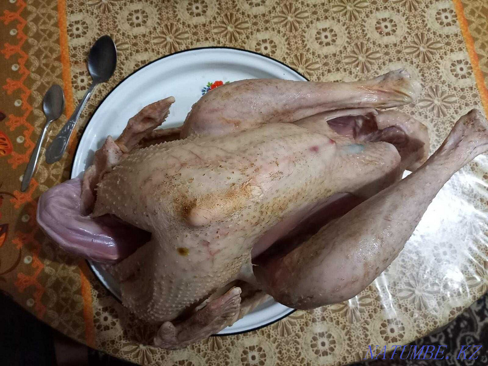 Sell turkey meat Pavlodar - photo 1