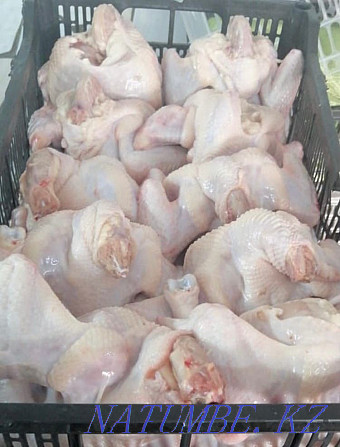 Wholesale Meat Laying hens, turkey, rabbit, quail, broiler Atyrau - photo 2