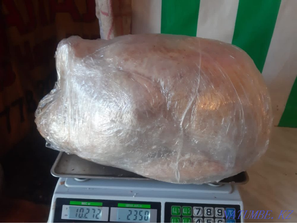 Turkey meat, turkey only WHOLESALE Turkestan - photo 3