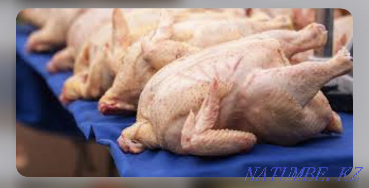 WHOLESALE Turkey meat Turkey meat Kostanay - photo 1