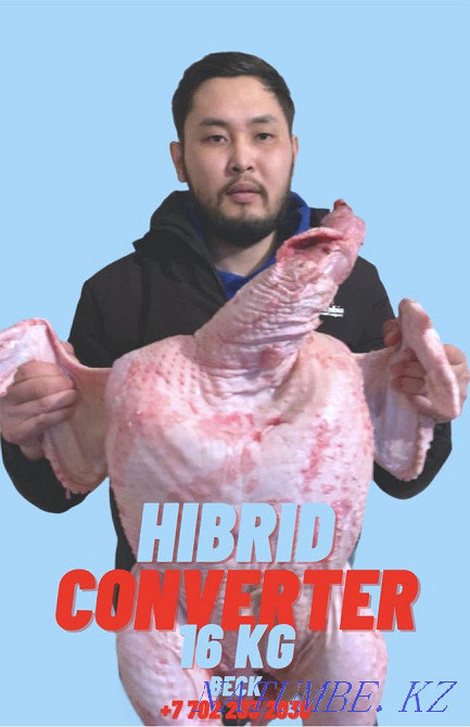 WHOLESALE Turkey meat Turkey meat Kostanay - photo 3