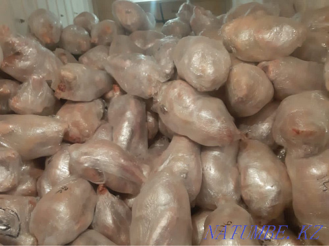 Wholesale turkey meat, turkey meat volume is Taraz - photo 3