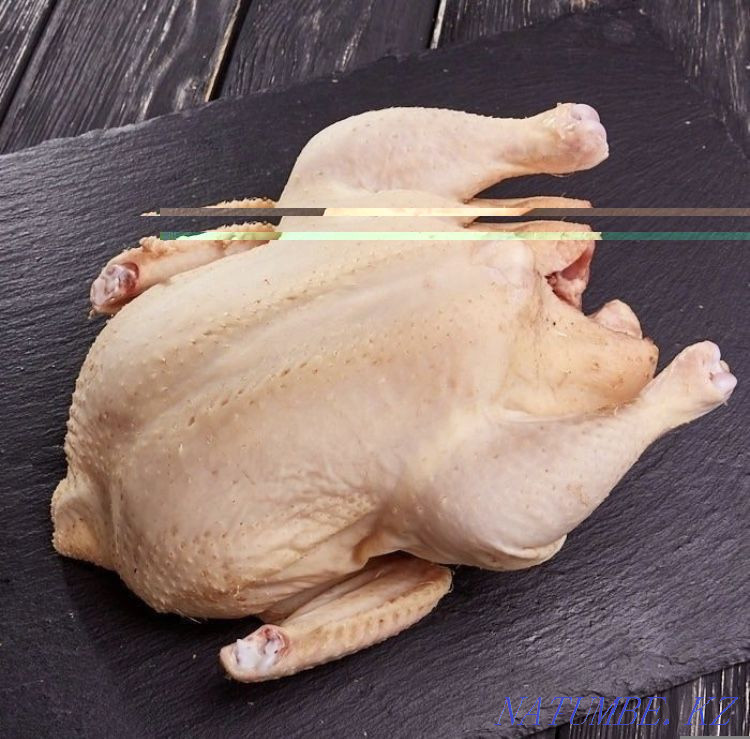 Мясо индейки ОПТОМ мясо индюка есть обьем Петропавловск - изображение 2