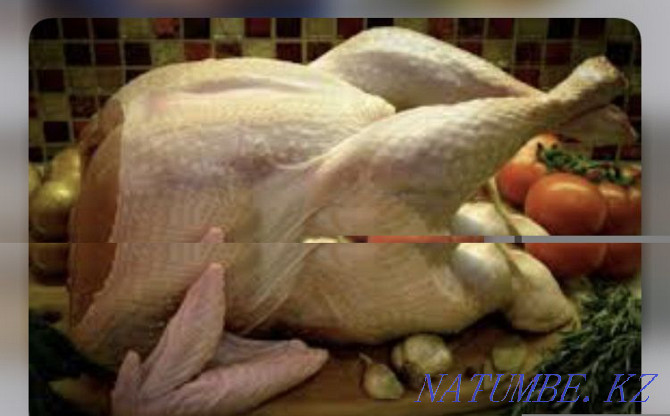 Meat turkey turkey LARGE WHOLESALE Pavlodar - photo 4