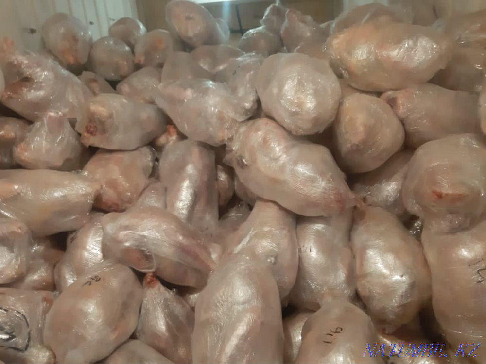 Wholesale meat turkey, broiler, quail, laying hens, rabbit, egg Kyzylorda - photo 2