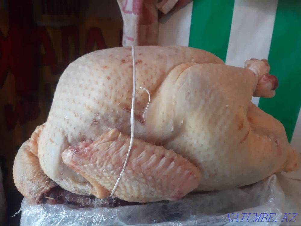 Wholesale meat turkey, broiler, quail, laying hens, rabbit, egg Kyzylorda - photo 1