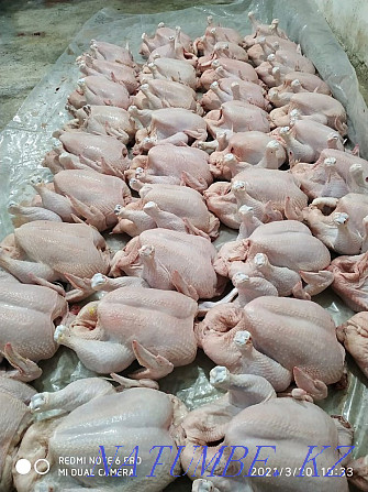 Мясо оптом бройлер, перепелка, кролик, ккры несушки, индюк, яйцо Кызылорда - изображение 2