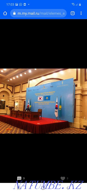 I will sell turkeys and designs Astana - photo 3