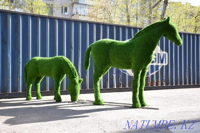 Лошади Актобе - изображение 1