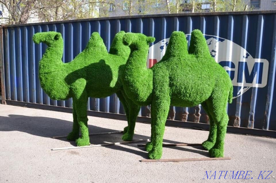 Лошади Актобе - изображение 7