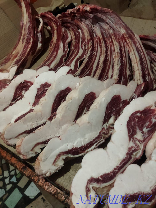 Fat horses own fattening Petropavlovsk - photo 1