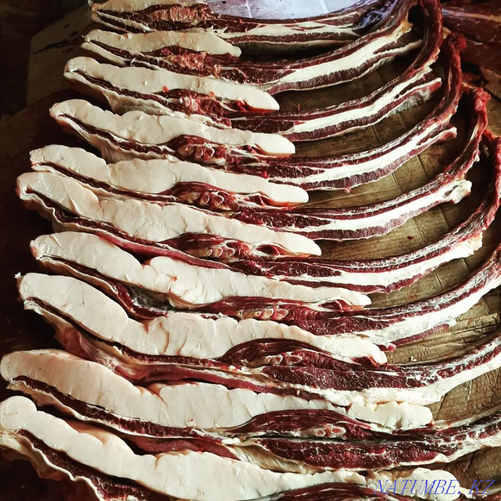 Fat horses for any event Petropavlovsk - photo 2