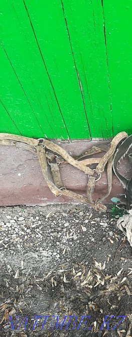 Reverse for a horse Белоярка - photo 1