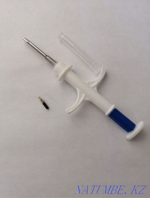 Чип для мрс крс лошад Шымкент - изображение 1