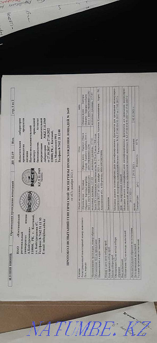 Horse breeding horse of the Kostanay breed Astana - photo 6