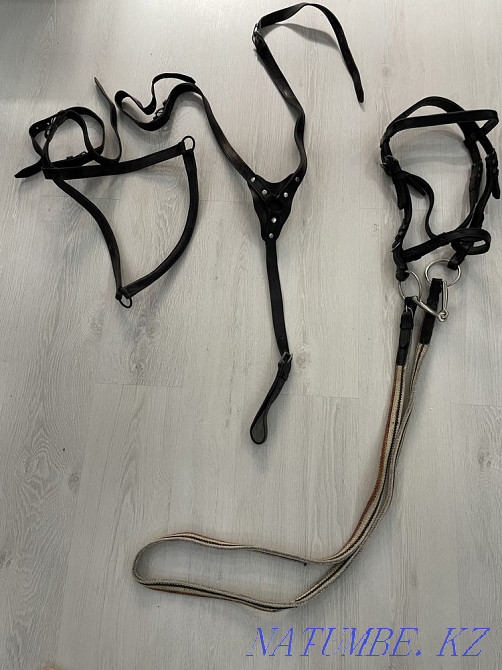 Bridle for a horse Astana - photo 2