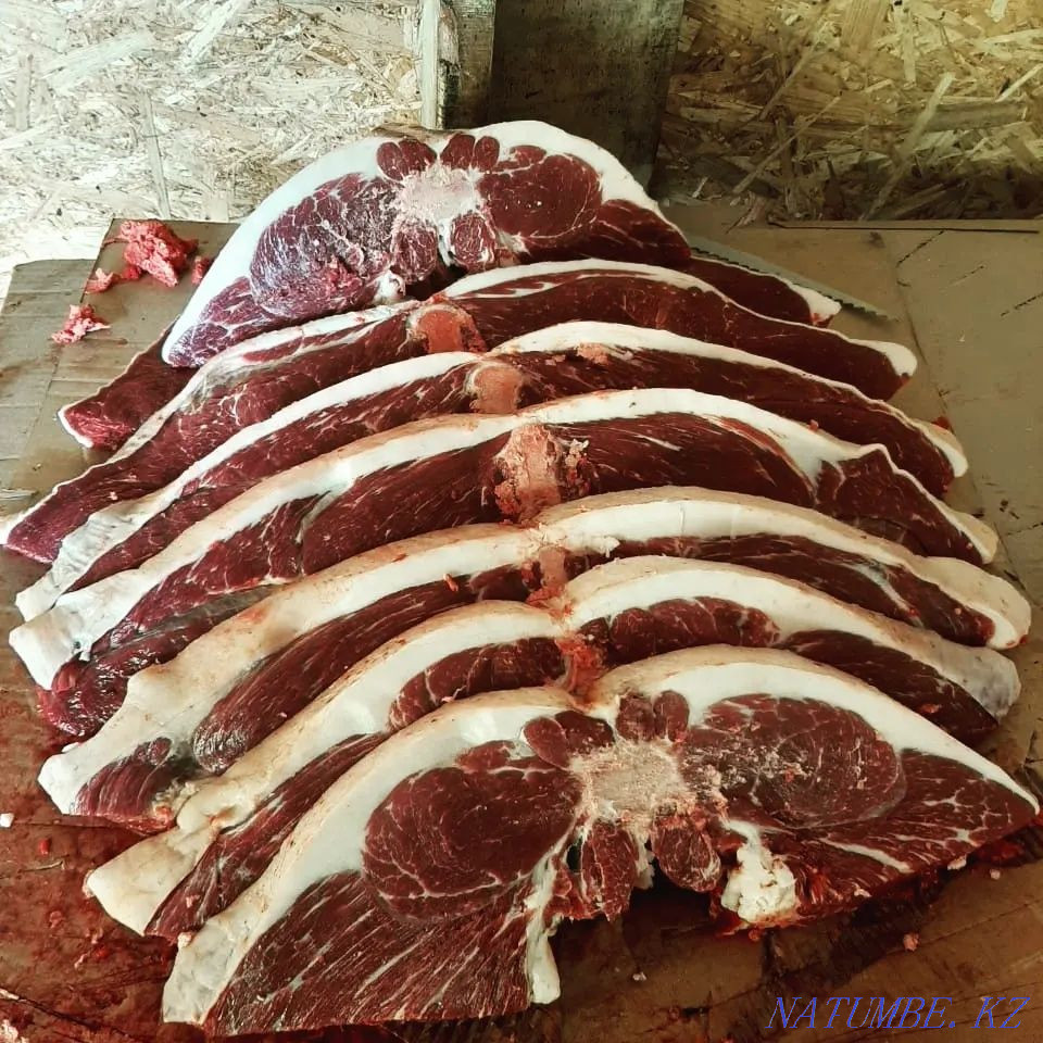 Fat horses for any event Petropavlovsk - photo 3