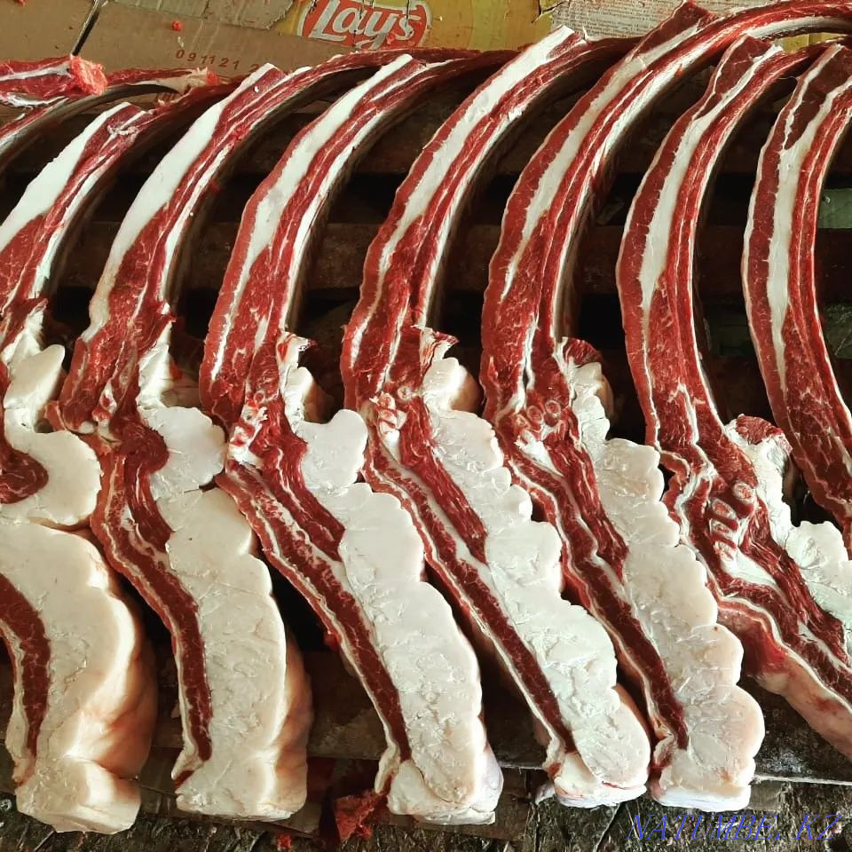 Fat horses for any event Petropavlovsk - photo 1