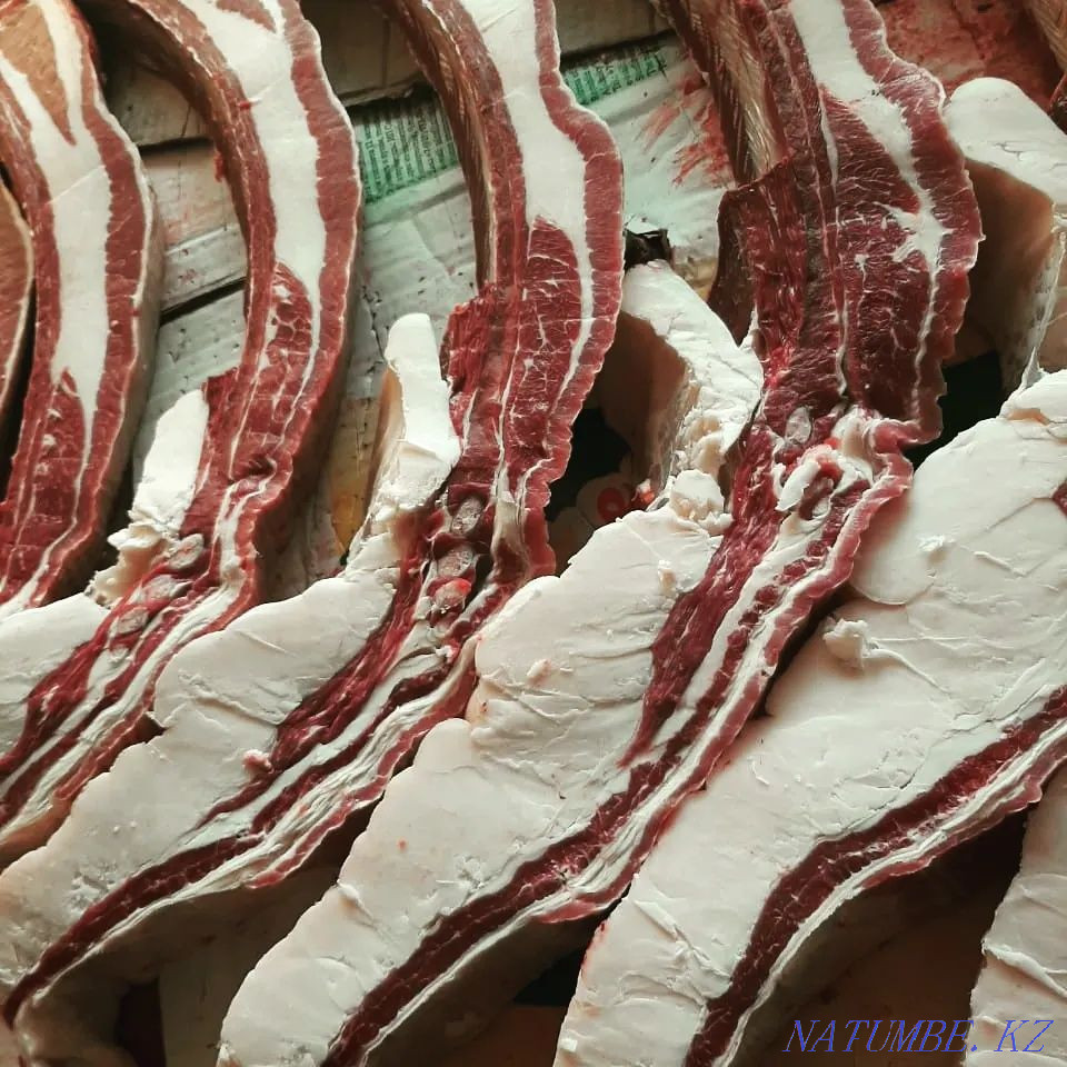 Fat horses for any event Petropavlovsk - photo 4