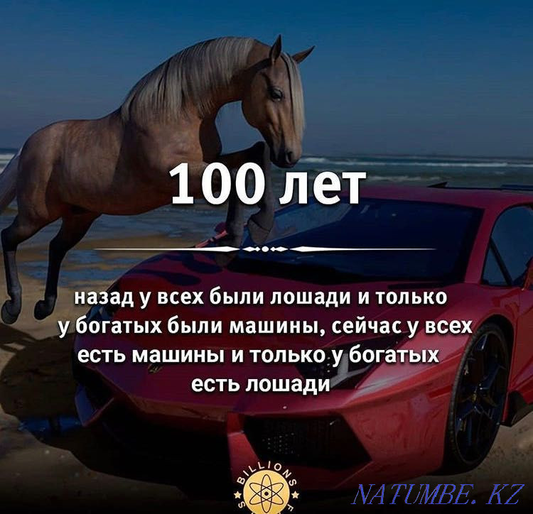 Продаются лошади 2 Байтал Шахтинск - изображение 3